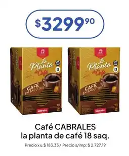 Hergo Café CABRALES la planta de café oferta