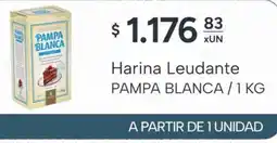 El Milagro Mayorista Pampa blanca harina leudante oferta