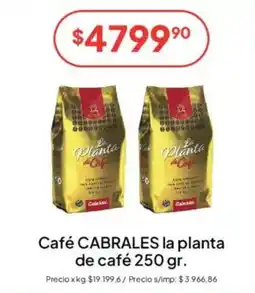 Hergo Cabrales café la planta oferta