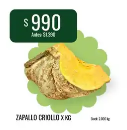Super MAMI Zapallo criollo oferta