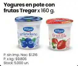 Changomas Tregar yogures en pote con frutas oferta