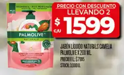 Supermercados DIA Palmolive jabón líquido naturals camelia oferta
