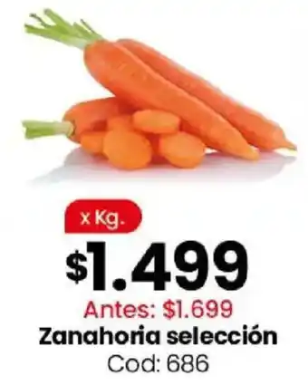 Coto Zanahoria selección oferta