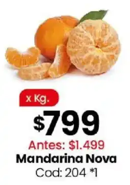 Coto Mandarina nova oferta