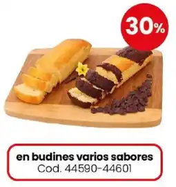 Coto En budines varios sabores oferta
