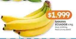 Cordiez Banana ecuador oferta