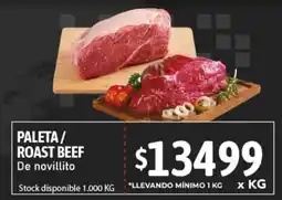 Nini Mayorista Paleta / Roast beef oferta