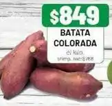 Almacor Batata colorada oferta