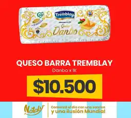 Super Nataly Tremblay queso danbo oferta