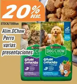 Supermercados Comodin Dog chow alim. perro varias presentaciones oferta
