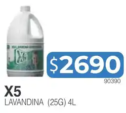 Masivos X5 lavandina oferta