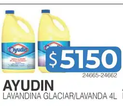 Masivos Ayudin lavandina glacial/lavanda 4l oferta