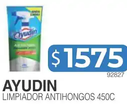 Masivos Ayudin limpiador antihongos 450c oferta