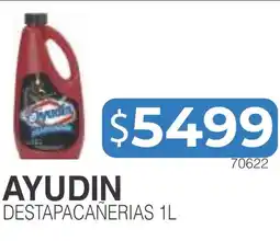 Masivos Ayudin destapacañerias 1l oferta