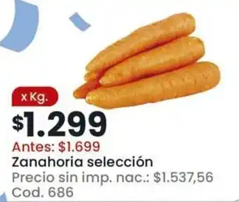 Zanahoria selección