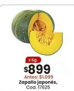 Coto Zapallo japonés oferta