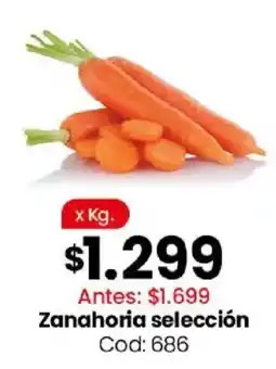 Coto Zanahoria selección oferta