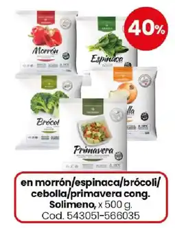 Coto Solimeno morrón/espinaca/brócoli/cebolla/primavera cong. oferta