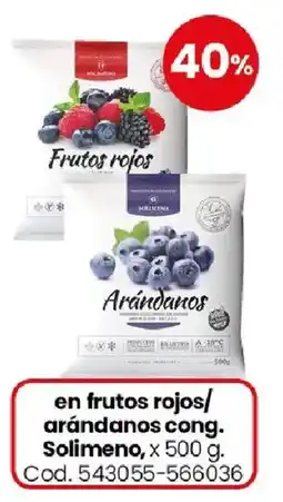 Coto Solimeno en frutos rojos/ arándanos cong. oferta