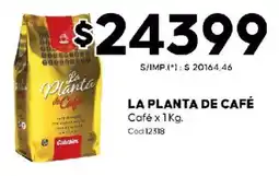 Diarco La planta de café oferta
