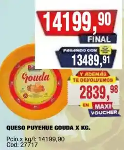 Maxiconsumo Puyehue queso gouda oferta