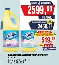 Maxiconsumo Ayudin lavandina triple poder oferta