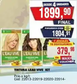 Maxiconsumo L'eau vive tintura kit oferta