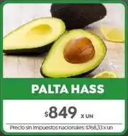 Jumbo Palta hass oferta