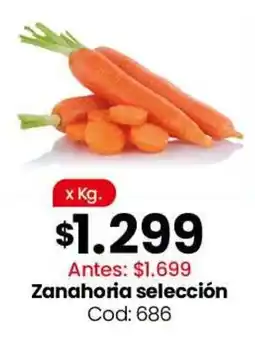 Coto Zanahoria selección oferta