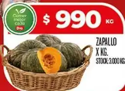 Supermercados DIA Zapallo oferta