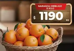 Supermercados DIA Naranja ombligo oferta