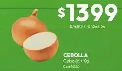 Diarco Cebolla x kg oferta