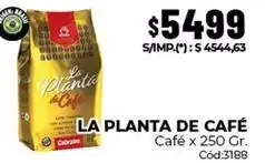 Diarco La planta de café - la planta de café café x 250 gr. cód:3188 oferta
