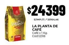 Diarco La planta de café - la planta de café café x 1 kg. cód:12318 oferta
