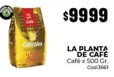 Diarco Cabrales - café x 500 gr. cód:3661 oferta