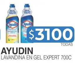 Masivos Ayudin lavandina en gel expert oferta