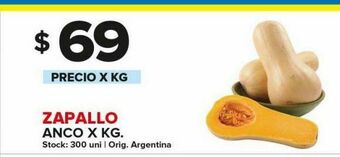 Carrefour Zapallo anco kg oferta
