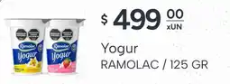 El Milagro Mayorista Ramolac yogur oferta