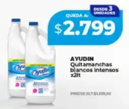 Supermayorista Vital Ayudin quitamanchas blancos intensos oferta