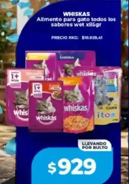 Supermayorista Vital Whiskas alimento para gato todos los sabores wet oferta
