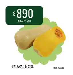 Super MAMI Calabacín oferta