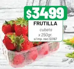 Almacor Frutilla cubeta oferta