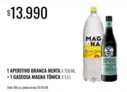 Supermercados Tadicor Branca - aperitivo branca menta + gaseosa magna tónica oferta