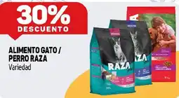 Makro Raza gato / perro raza oferta