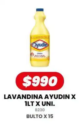 Autoservicio Capo Ayudin lavandina oferta