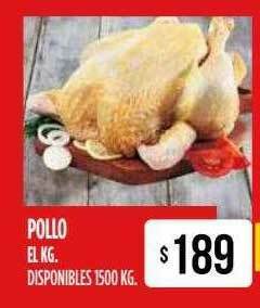 Pollo