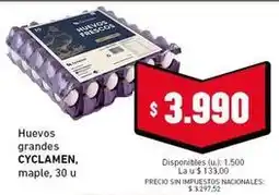Cooperativa Obrera Huevos grandes oferta