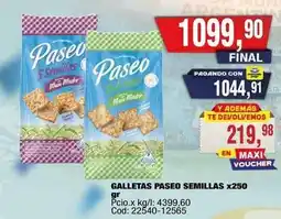 Maxiconsumo Paseo - galletas paseo semillas x250 oferta