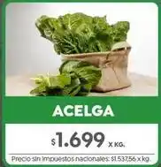 Jumbo Acelga oferta