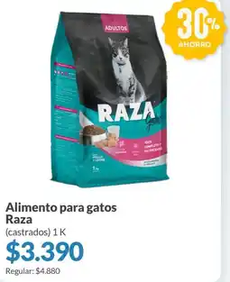 Supermercados Aiello Raza alimento para gatos oferta